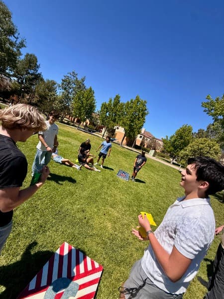 DG4Dogs Lawn Game