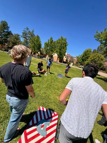 DG4Dogs Lawn Game 2
